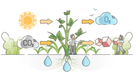 Biochemical conversion technology